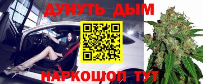 прущие грибы Краснокаменск